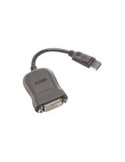 Lenovo DisplayPort han -> DVI-D hun 20 cm Grå