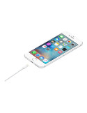 Apple USB-A til Lightning kabel 1m